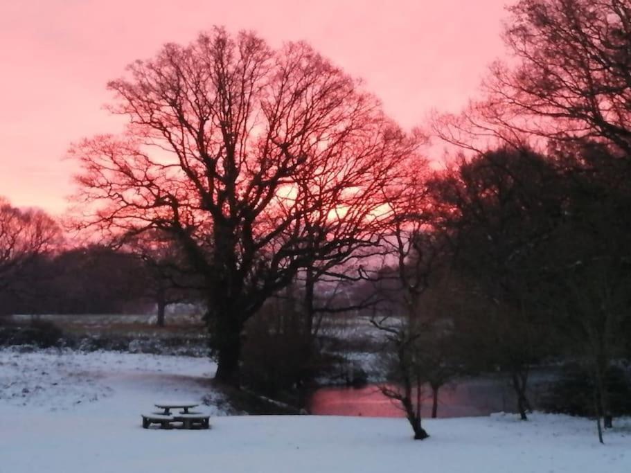 Charming Picturesque Cottage - Nr Tenterden & Rye, Pets Welcomed Rolvenden Eksteriør billede