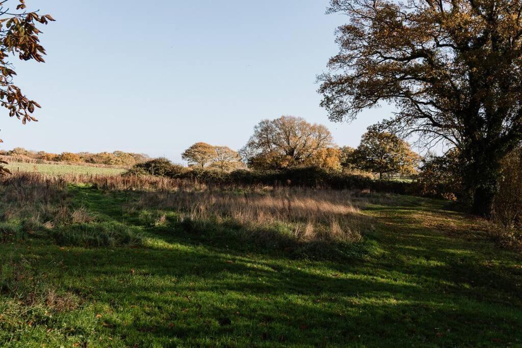 Charming Picturesque Cottage - Nr Tenterden & Rye, Pets Welcomed Rolvenden Eksteriør billede
