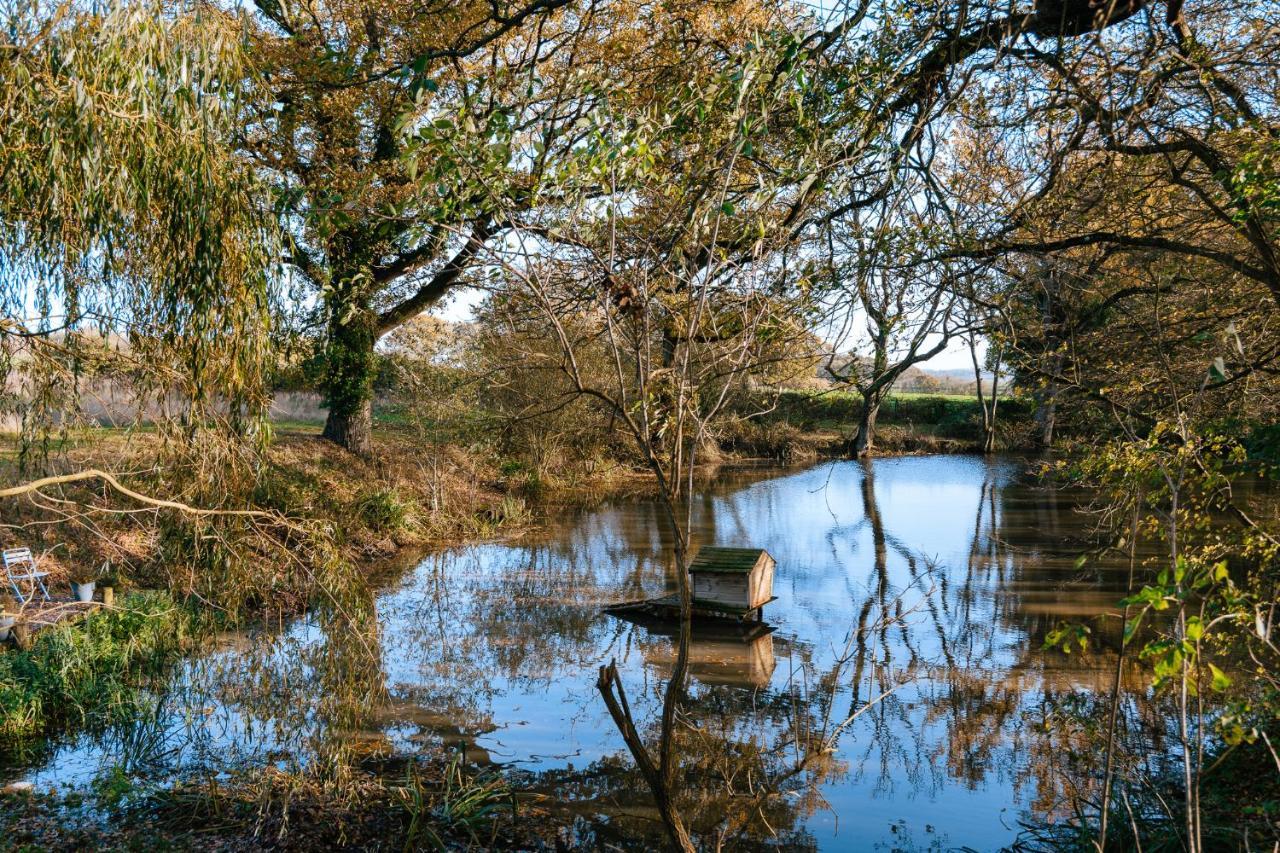 Charming Picturesque Cottage - Nr Tenterden & Rye, Pets Welcomed Rolvenden Eksteriør billede